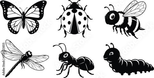 Insect illustration set, butterfly, ladybug, bee, dragonfly, ant, caterpillar, entomology, nature, biology, wildlife, black and white design