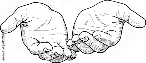 Realistic sketch of two open hands with detailed linework, concept of giving. Vector illustration