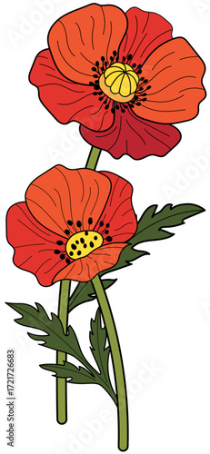 Wallpaper Mural Poppy Twin Flowers Torontodigital.ca