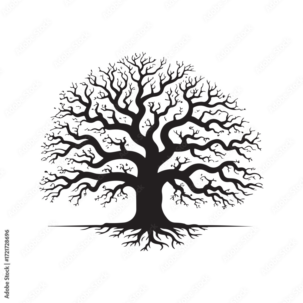 Fototapeta premium Silhouette of a large oak tree with exposed roots isolated on white background