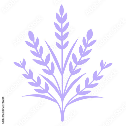 Illustration of a lavender colored plant with leaves arranged symmetrically on a white background