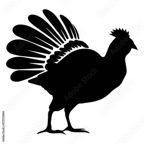 Silhouette of a bird with prominent tail feathers and a crest on its head standing sideways view