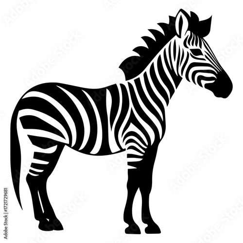 Illustration of a standing zebra with black and white stripes in a side view on a white background