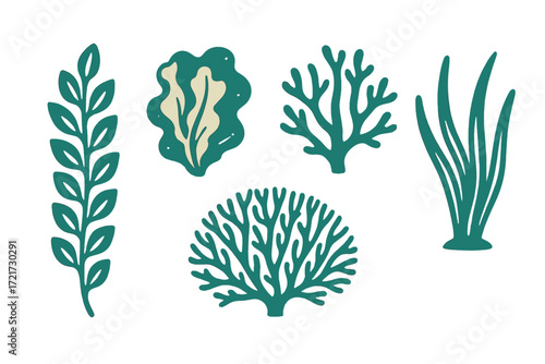 Assortment of stylized underwater plants and marine flora elements in a graphic style for aquatic themes and ocean life