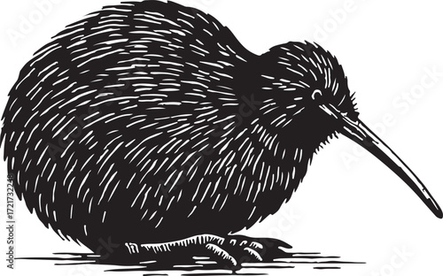 Detailed black and white illustration of a kiwi bird with its long beak and textured feathers isolated on a white background