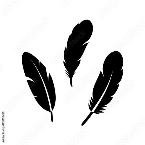 Silhouette of three feathers isolated icon
