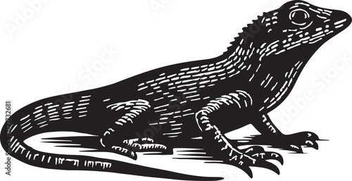 Detailed black and white woodcut illustration of a spiny lizard with textured scales and sharp claws on a white background