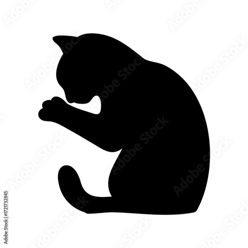 Silhouette of cat grooming and cleaning itself
