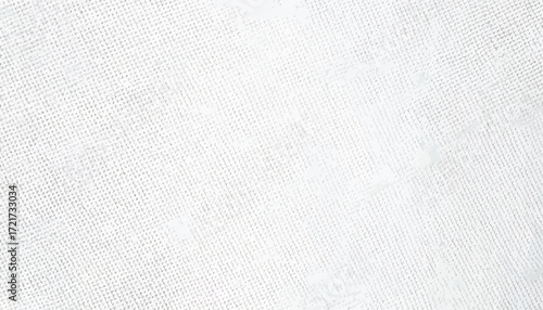Blank White Texture Background A Versatile Textured Surface for Various Designs