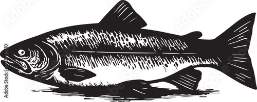 Black and white woodcut style illustration of a large fish with detailed scales and fins on a white background