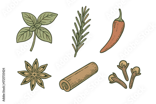 Aromatic culinary herbs and spices collection featuring basil, rosemary, chili, star anise, cinnamon, and cloves
