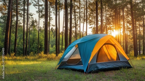 Sunset Camping in a Pine Forest: A Serene Escape