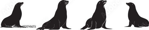 Vector art of four sea lions in black ink illustration