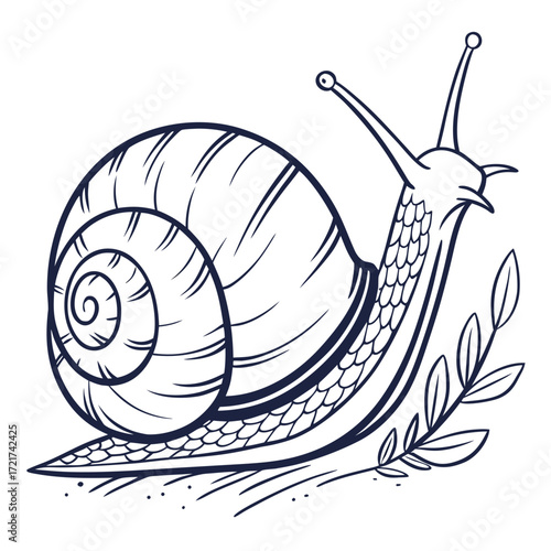 Illustration of a snail with a patterned shell and antennae crawling near a leafy branch design element