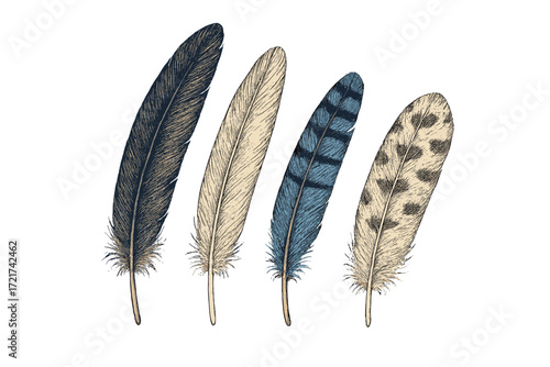 Assortment of various bird feathers with unique natural patterns and distinct color variations on white background