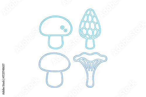 Outline drawings of various edible and wild mushrooms such as morel and chanterelle fungi for culinary and nature themes