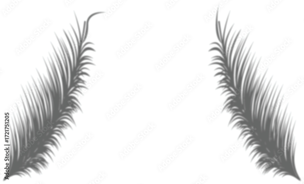 Fototapeta premium Leaf Shadow Silhouettes Vector Transparent Overlay Element