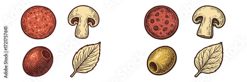 Colorful illustrations of food items including mushrooms, olives, and leaves on a plain background