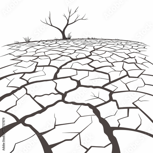Barren cracked earth landscape with a single leafless tree and sparse grass under a white sky