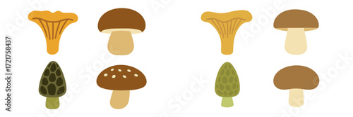 Various types of mushrooms displayed in a simple and colorful arrangement on a white background