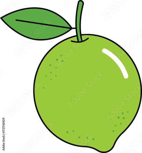 Fresh green fruit with leaf vector illustration scalable eps icon