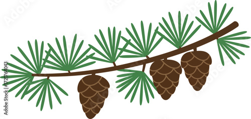 Pine cone branch vector illustration scalable eps for nature designs