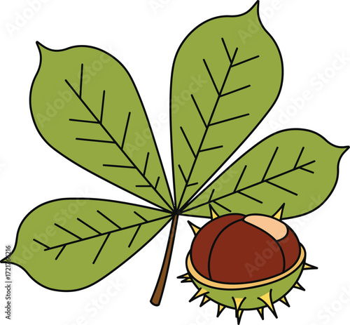Vector illustration of a horse chestnut leaf and fruit scalable graphic for eps download