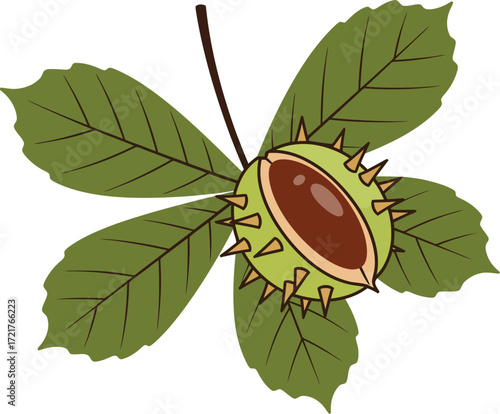 Scalable vector illustration of a chestnut fruit with leaves for graphic design projects