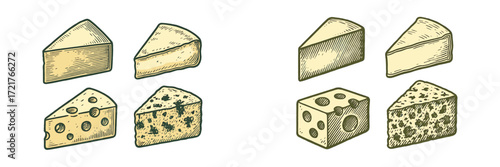 Selection of various cheese types on display with detailed textures and colors