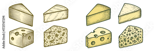 Various types of cheese displayed in an artistic manner showcasing different shapes and textures in a vibrant design