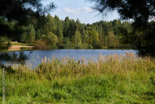 A Beautiful, Serene Lake Nestled Amongst Lush Greenery and Tall Trees All Around