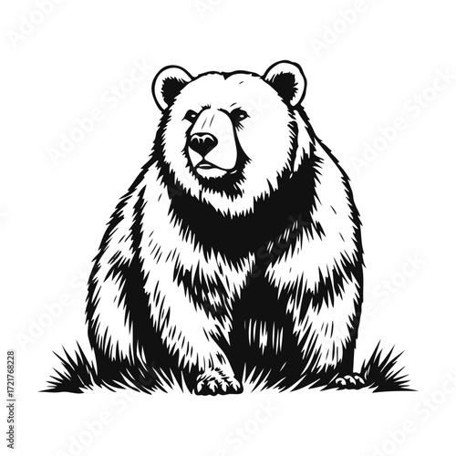 Bear illustration vector, wild animal drawing, big predator design, forest mammal sketch, grizzly graphic art	