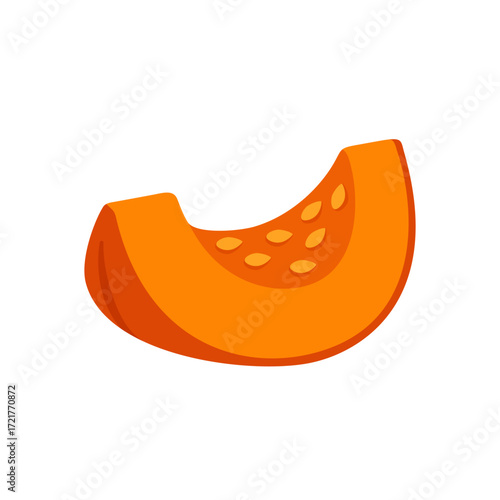 Fresh orange pumpkin slice with seeds isolated vector illustration