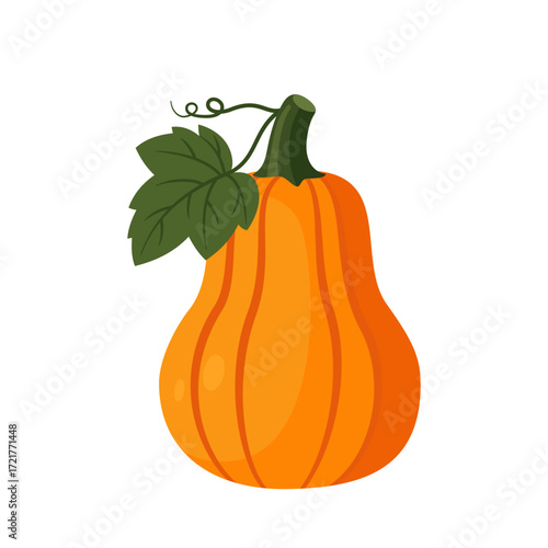 Long orange pumpkin with green leaf isolated flat vector illustration