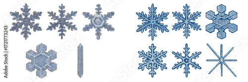 Intricate designs of snowflakes showcasing diverse patterns and unique structures observed during winter in a tranquil setting