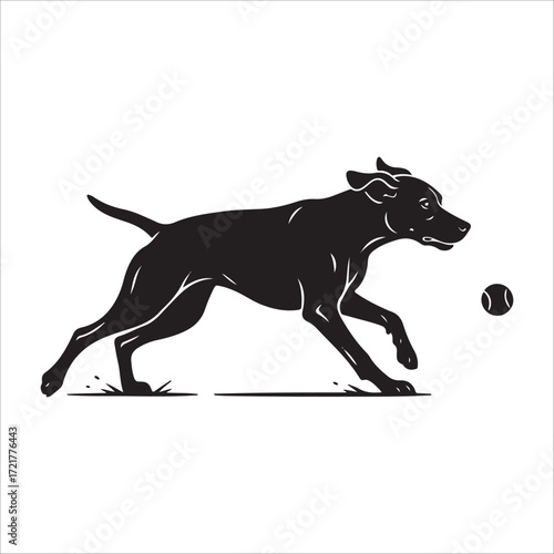 Fotografie Silhouette of a dog chasing a ball, dynamic motion
