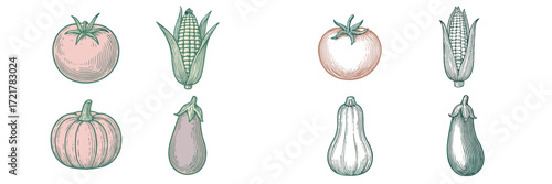 Colorful vegetable illustrations showcasing various types of produce arranged in a grid pattern