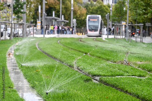 arrosage gazon circulation secheresse environnement eau