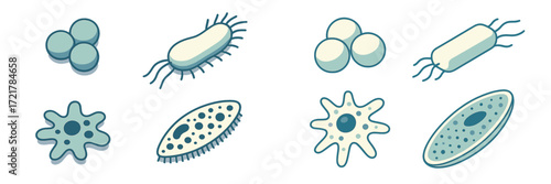 Colorful illustrations of various microorganisms showing their shapes and sizes for educational purposes