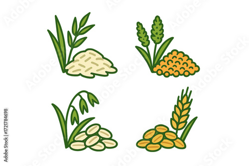 Various types of grains and seeds displayed in a colorful illustration highlighting their unique features and forms