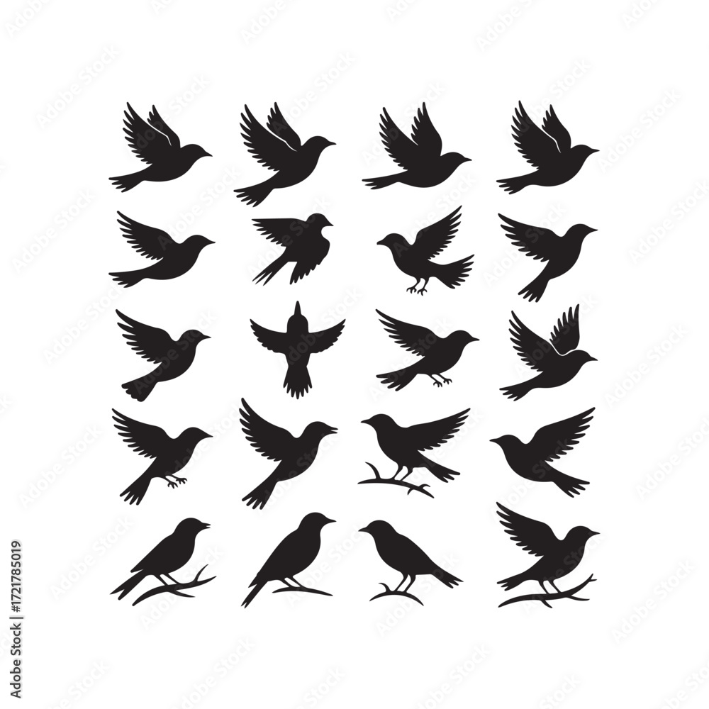 Obraz premium Black bird silhouette vector collection with flying and perched designs, wildlife animal icons, nature creative symbols, abstract minimal artwork for eco environment template illustration