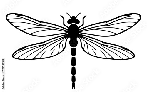 Stylized dragonfly with detailed wings, insect, nature, summer, flying, delicate