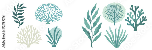 Various botanical illustrations showcasing aquatic plants and corals in shades of green and blue