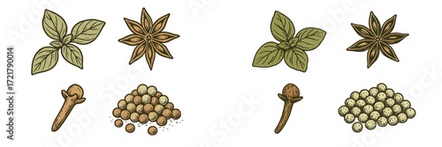 Unique spices of the world with star anise, cloves, and various herbs displayed artistically on a white background