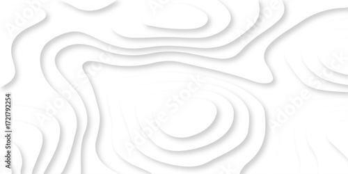 Abstract Luxury diamond creative topography map background vector natural shadow papercut web topography map spiral line. white light dynamic smooth cover origami papercut texture background.	
