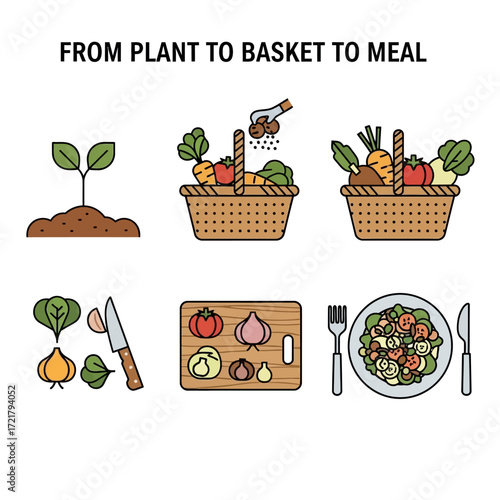 Farm to Table A Journey From Seed to Plate