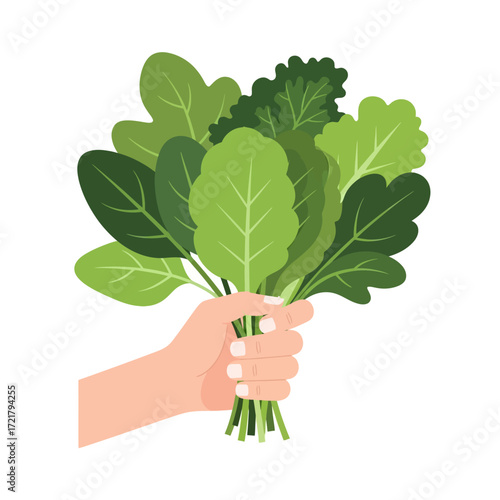 Hand Holding a Bunch of Fresh Leafy Greens Spinach, Kale, and Lettuce