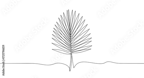 Minimalist line drawing of a palm tree on white background  