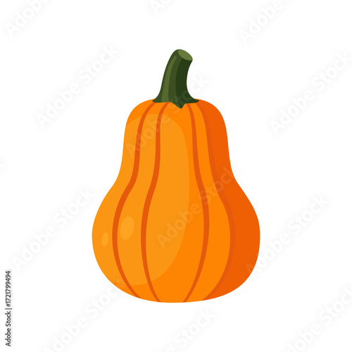 Butternut style pumpkin isolated orange vegetable flat vector illustration