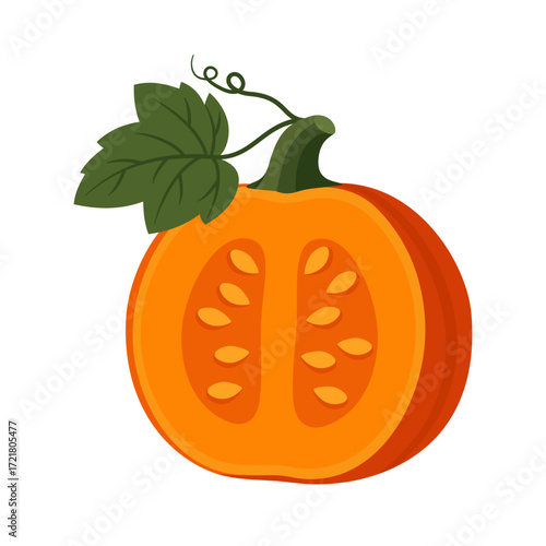 Half orange pumpkin with seeds isolated flat vector illustration